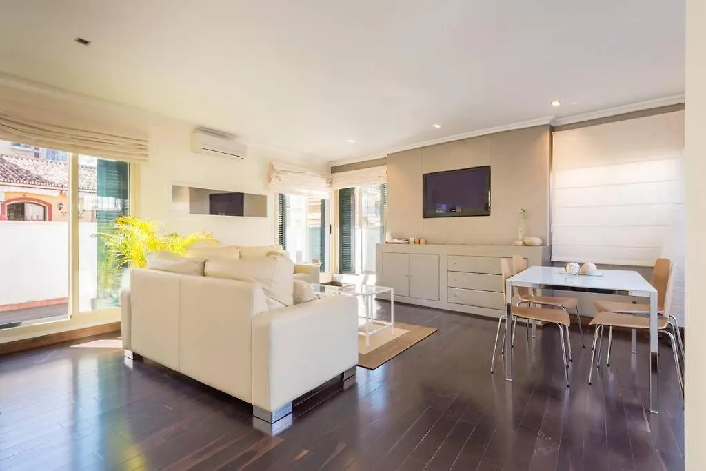 Apartment Tgh/ Atico Calle Victoria Malaga